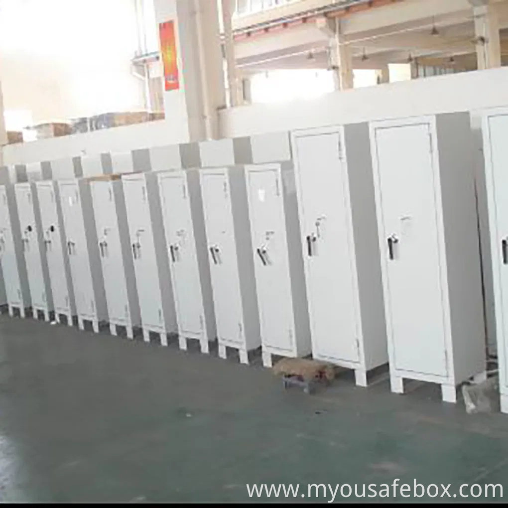 Hour Fireproof Hanging File & Completely Waterproof Safe